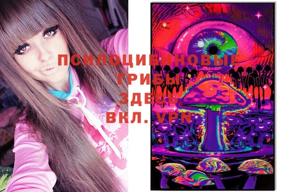стафф Алексин