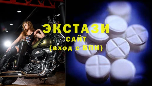 стафф Алексин