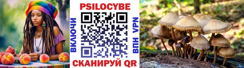 Галлюциногенные грибы мицелий  Лесной 